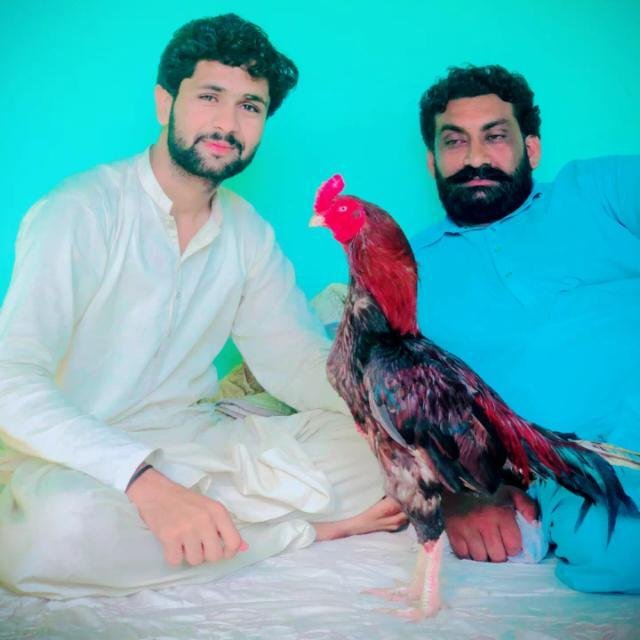 👈🏻⚔️ پہاڑ پور شکاری اصیل کلب⚔️👉🏻 WhatsApp Group