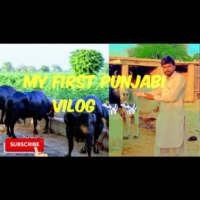 Pind di life ❤️ WhatsApp Group