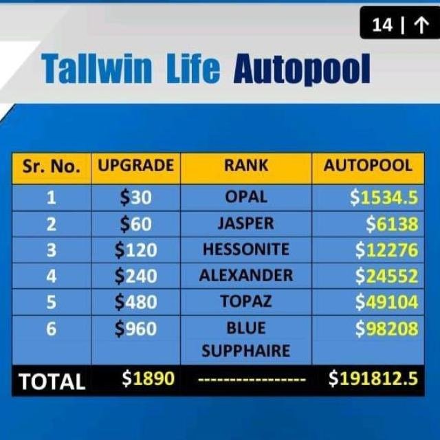 TallWin Mission 1.5 CR 4️⃣0️⃣ WhatsApp Group