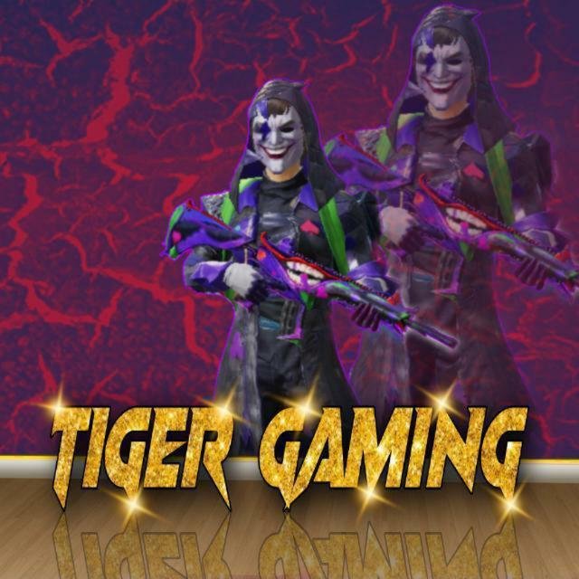 🚘TIGER GAMING STORE🚘((10)) WhatsApp Group