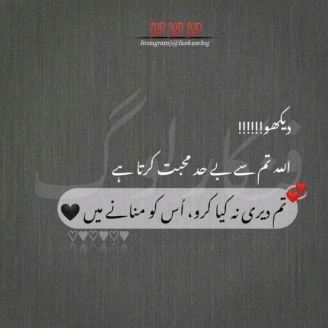 جون ایلیا💔 ، جنون فنا 01 WhatsApp Group