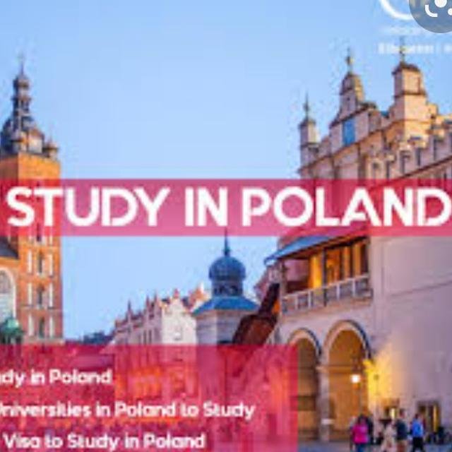 Study in Poland WhatsApp Group