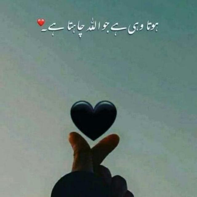 🥰😞Udas shayari🧐😞😔😒😟 WhatsApp Group