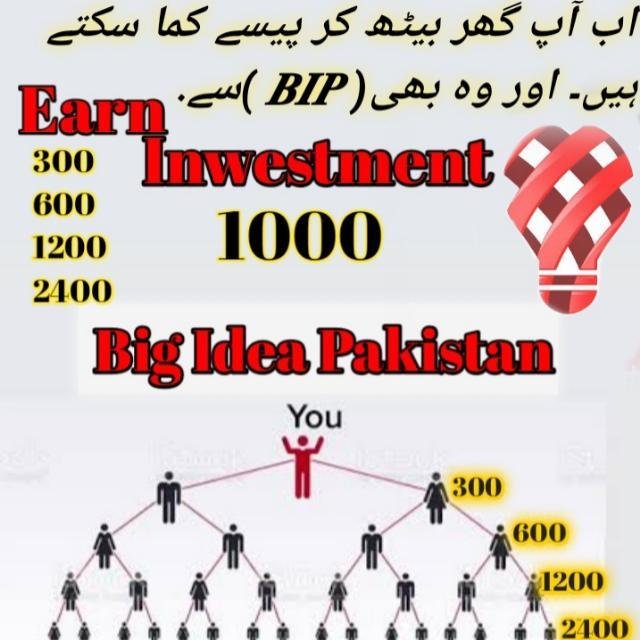 BIP Business with Ayaz,s & Nomi WhatsApp Group