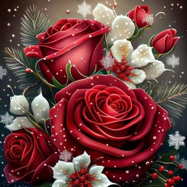 Dream  and win online clz 6 - 9  sinhala❤️‍🔥🧡 WhatsApp Group