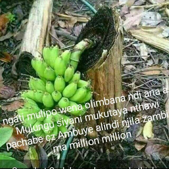 ©GOOD IDEAS WhatsApp Group