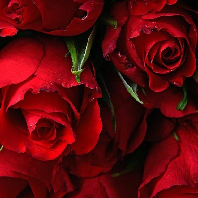 💓💓💓Любовь💓💓💞 WhatsApp Group