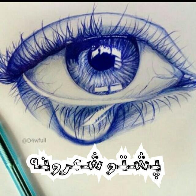 پشتو شاعری WhatsApp Group