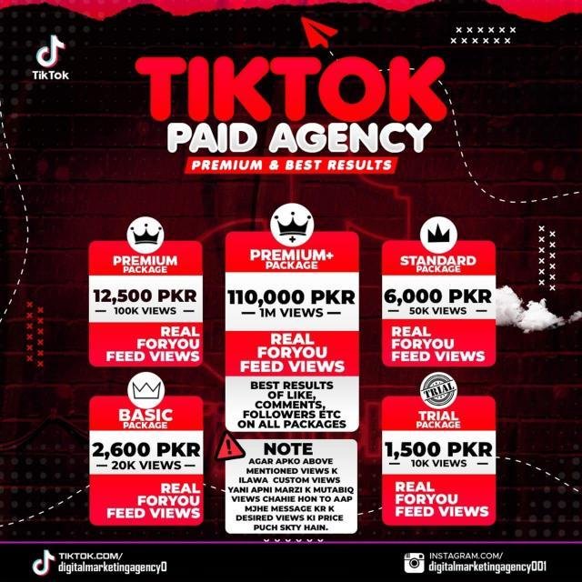 Tiktok paid agency group WhatsApp Group