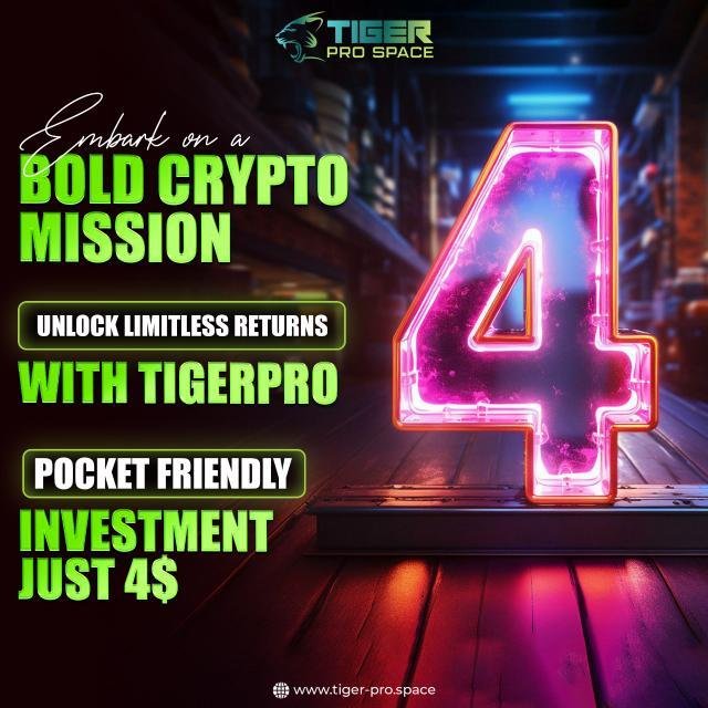 Bnb planet 30% dividend incom 70% Direct income decentralized system WhatsApp Group