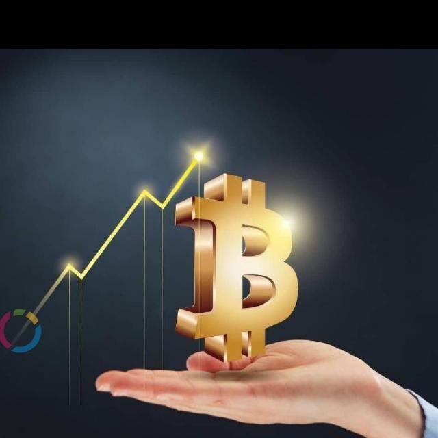 Bitcoin investment group WhatsApp Group