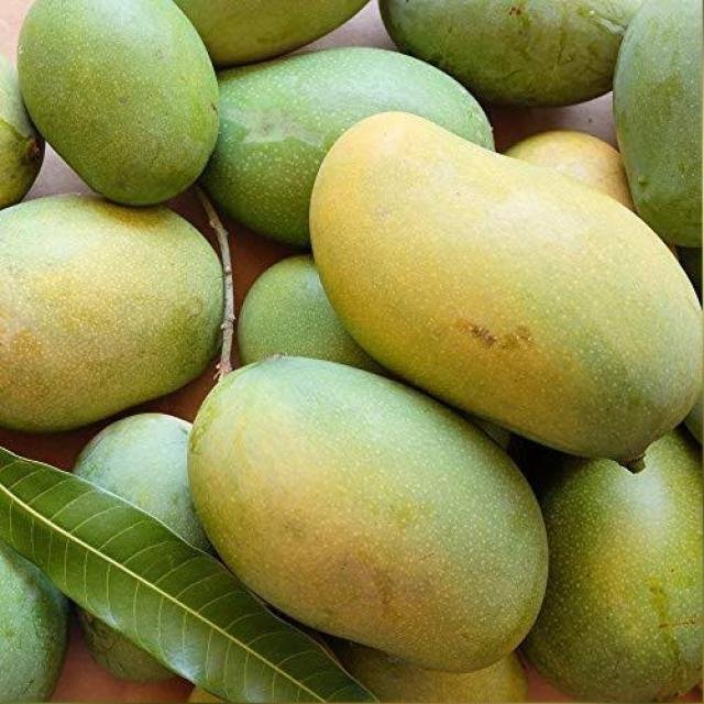 Mango Technopreneurs WhatsApp Group