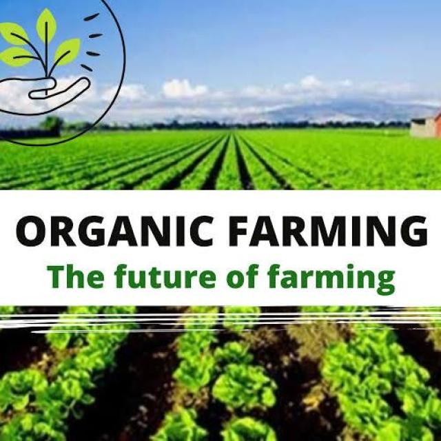 जैविक खेती🌱🍅🍊 WhatsApp Group