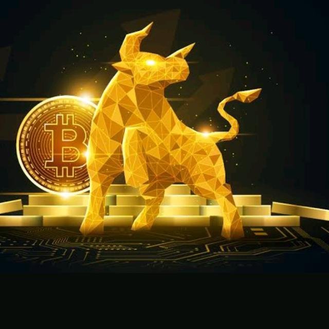 Crypto Signals🥳🥳 WhatsApp Group