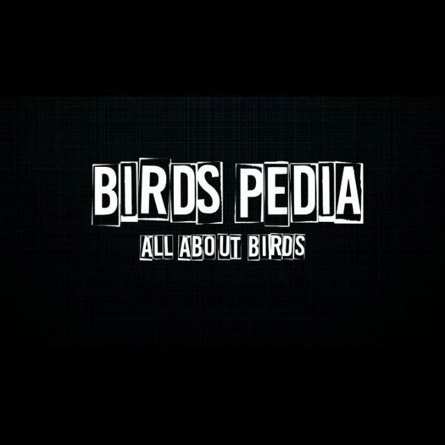 BIRDS PEDIA 🐣🐦🦚🕊️🦜 WhatsApp Group