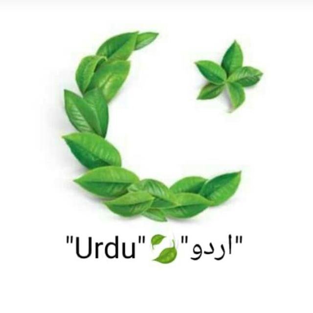 🌹Urdu❕اُردُو🌹♠️🔗🚷 WhatsApp Group