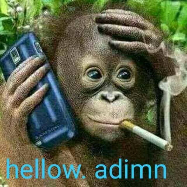BWALO LA PHWETE 💯% WhatsApp Group