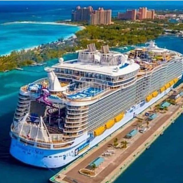 CRUISE FOR FREE 🇺🇸🇮🇳 WhatsApp Group