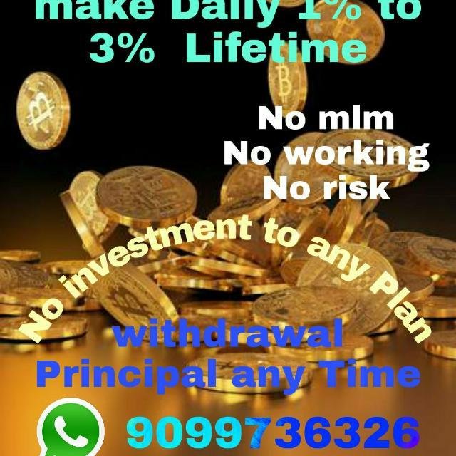 Hivish technology WhatsApp Group