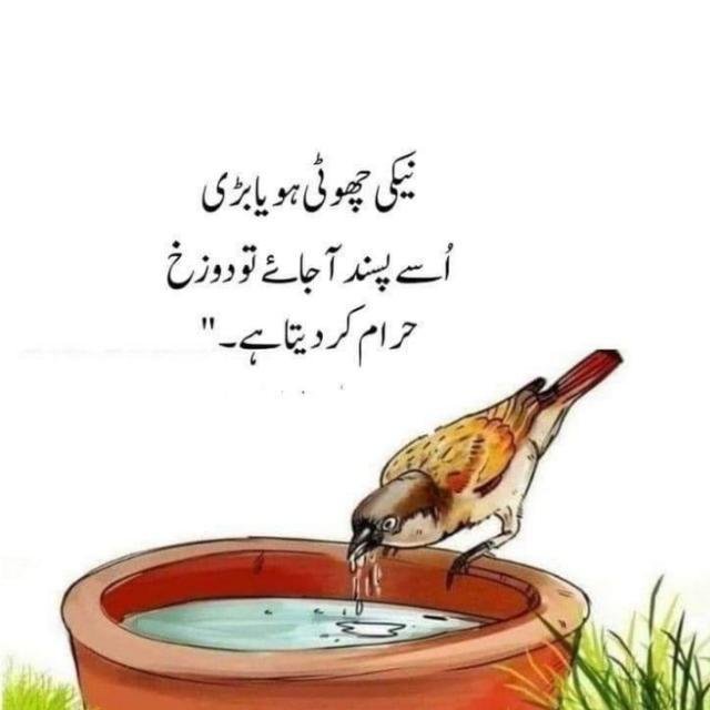 F song WhatsApp Group