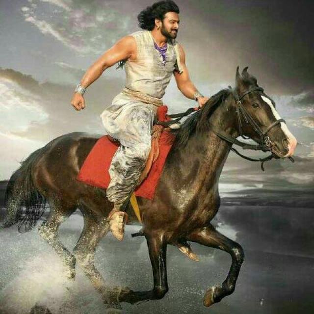All India Prabhas Fan's 💪 WhatsApp Group
