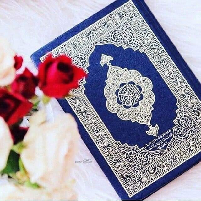 🌻 تلاوت قرآن مجید گروپ🌻 WhatsApp Group