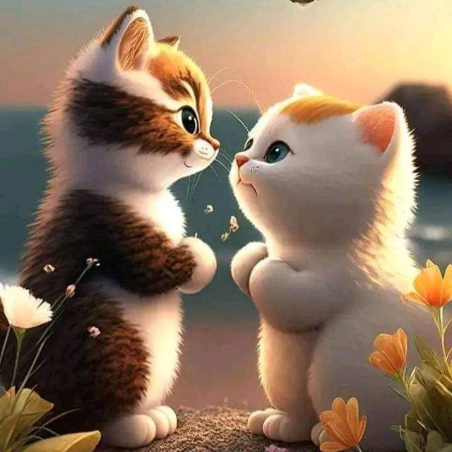 Best 👬friend👬♥️ WhatsApp Group