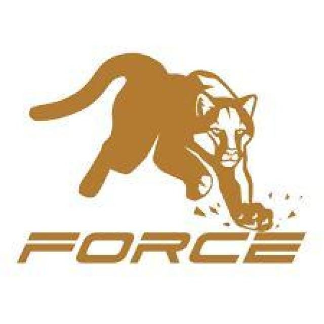 Earning with Meta Force WhatsApp Group