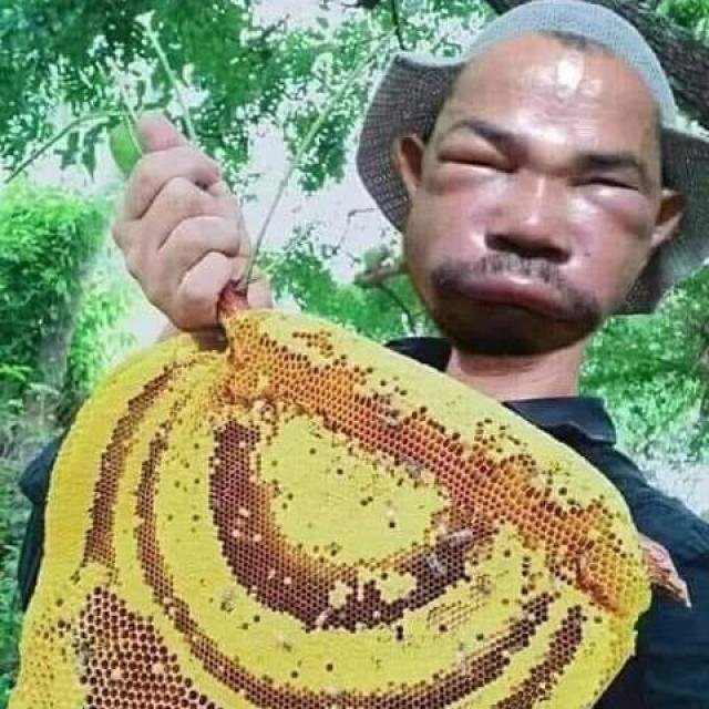 ANY video WhatsApp Group