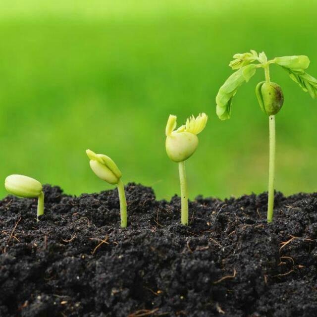 AGRI HORIZON WhatsApp Group