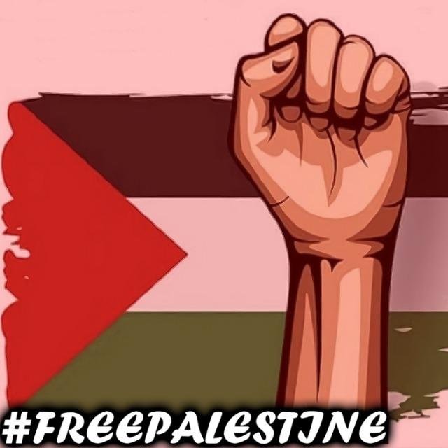 Palestine WhatsApp Group