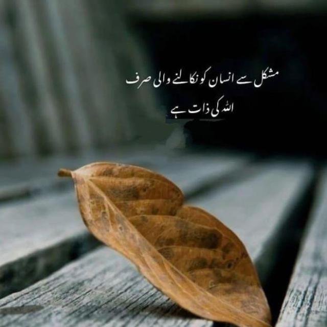 🌹🌹 اردو شاعری2⃣📚📚📚🌹🌹 WhatsApp Group