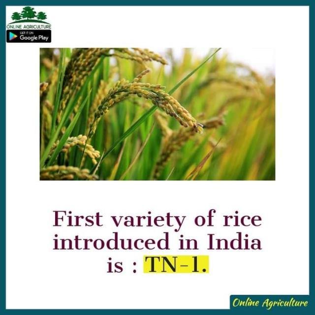 Agri study WhatsApp Group