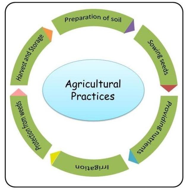 Agriculture 🌴Knowledge WhatsApp Group